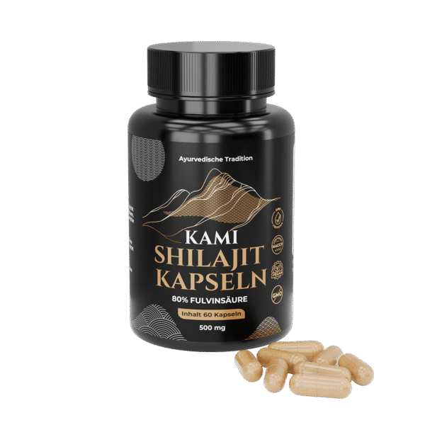 Kami Shilajit in Kapseln