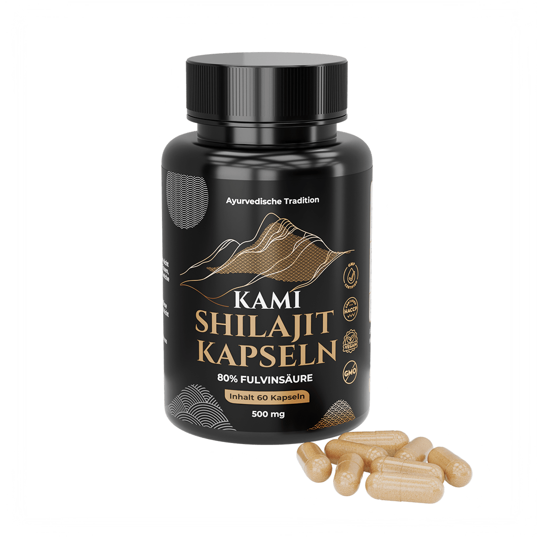 Kami Shilajit in Kapseln
